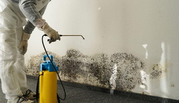 Expert removing severe mold from wall during remediation Expert in protective gear applying mold removal treatment on a wall with visible black mold