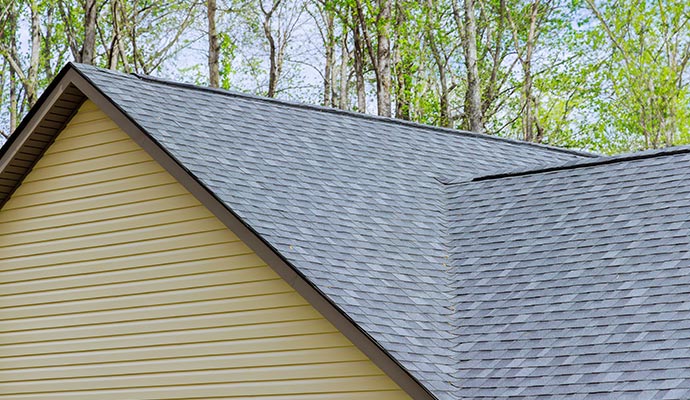 Installed clean and new roof Installed clean and new roof