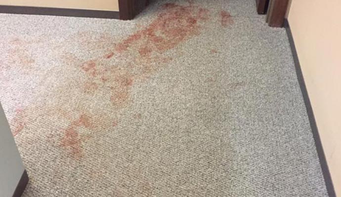 Brown stain on a carpet