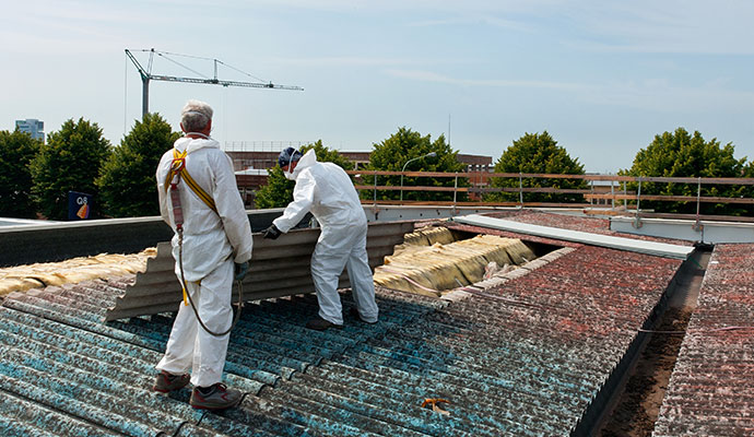 Asbestos Removal Services