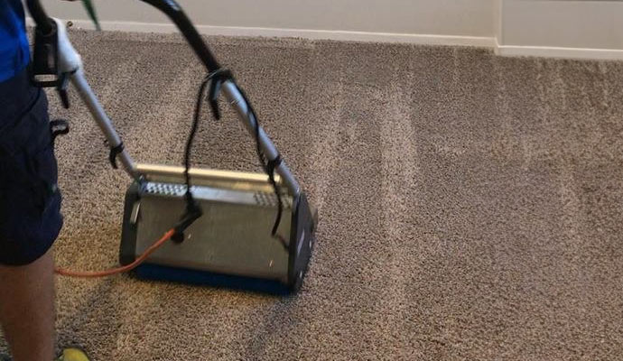 a professional cleaning a carpet using professional equipment