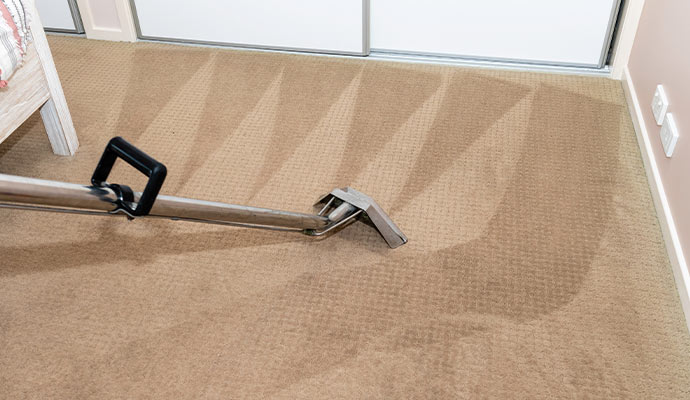 dry cleaning a carpet using equipment