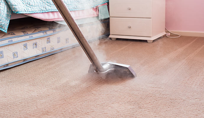 vacuum cleaning a carpet using equipment