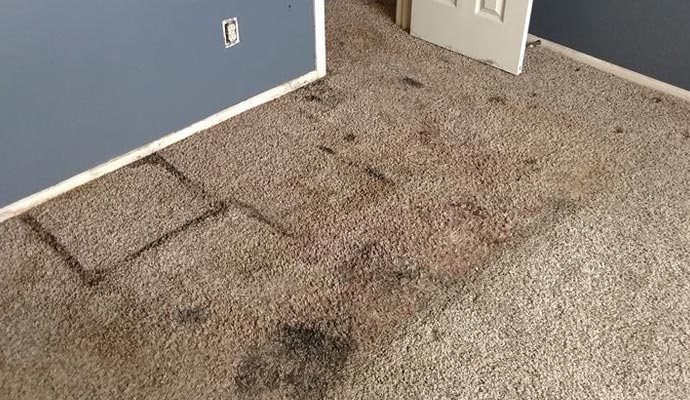 Carpet Stain Removal in Lubbock