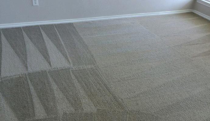 a clean carpet installed on the floor of a house