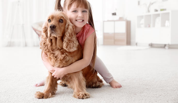 Pet Treatment for Carpet in Lubbock & Levelland