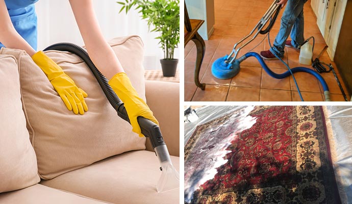 furniture, floor, and rug cleaning services