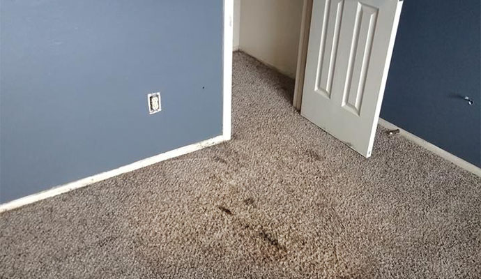 Visible dirt on carpet