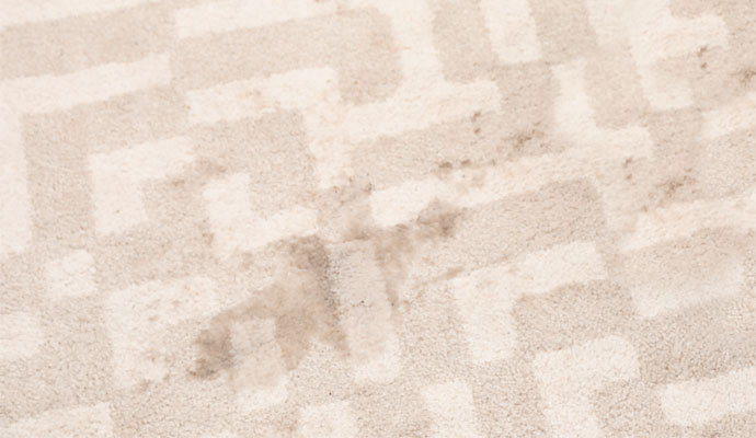 Visible stain on carpet