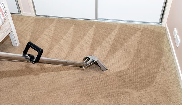 Carpet cleaning