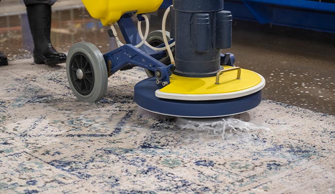 rug cleaning service with equipment