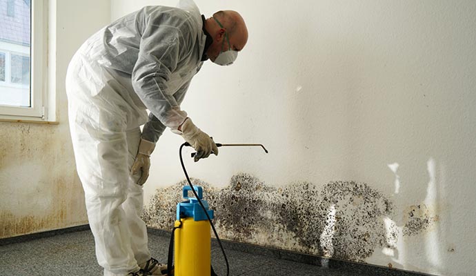 Black Mold Remediation in Lubbock