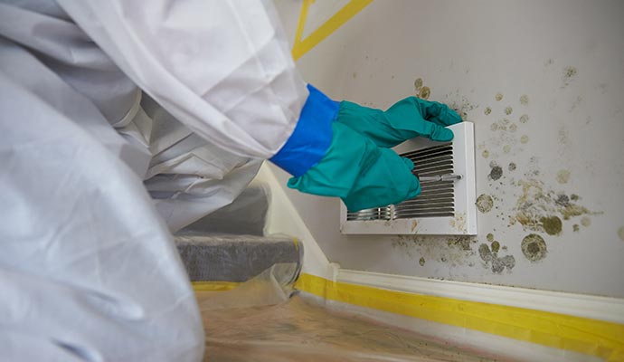 HVAC Mold Remediation Services in Lubbock