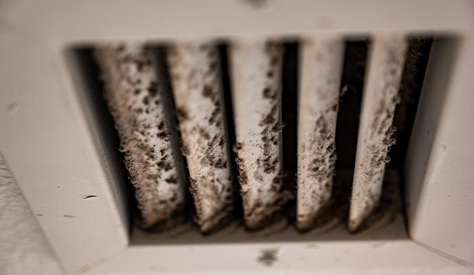 Mold on duct vent