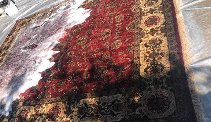 rug cleaning service