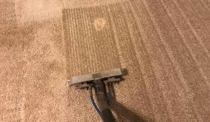 carpet cleaning