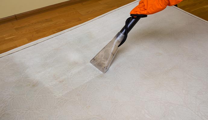 dust mites cleaning from mattress