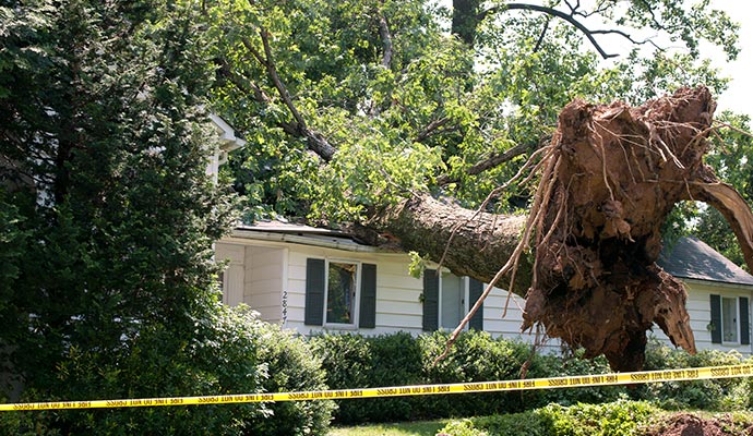 Wind Damage Restoration in Lubbock