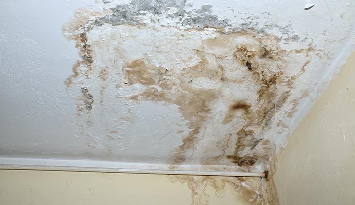 mold damaged ceiling