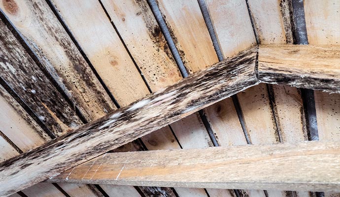 rotten wooden structure due to mold